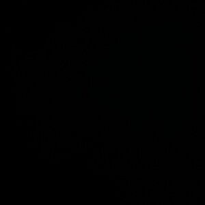 Meet your Posher, Rayan